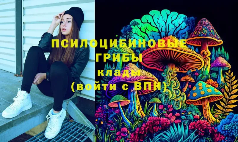 Псилоцибиновые грибы мухоморы  купить  сайты  Горбатов 